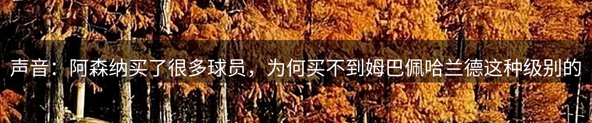 体育资讯
